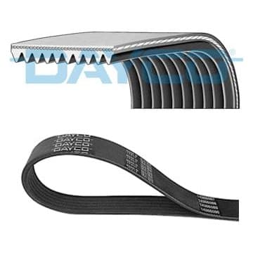 Dayco Poly-V Belt
